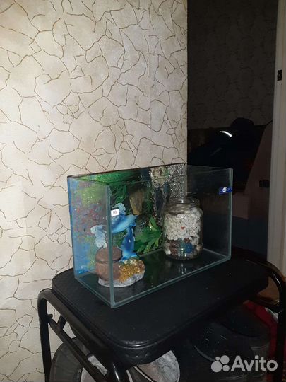 Аквариум