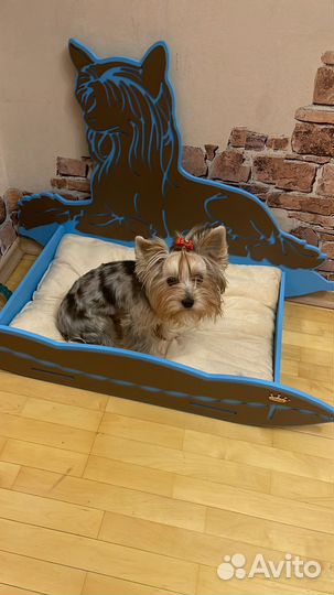 Обмен Кровать-лежанка для собак, вещи, автогамак