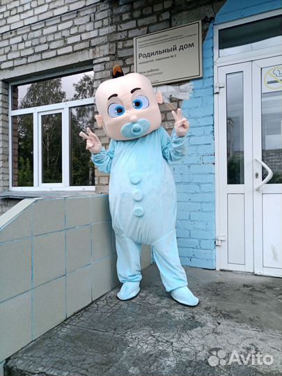 Пупсы Гендер пати Роддом Поздравления