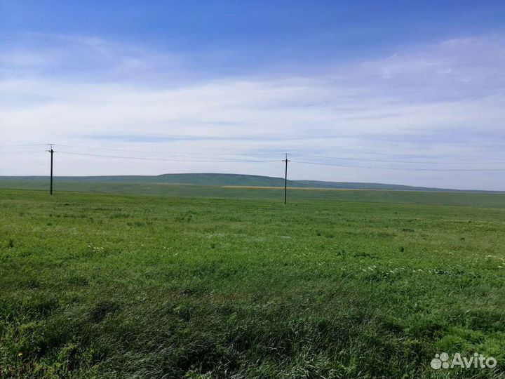 Покос травы, спил деревьев