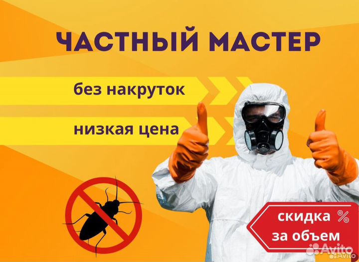 Уничтожение насекомых