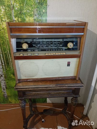 Радиола ригонда, рабочая