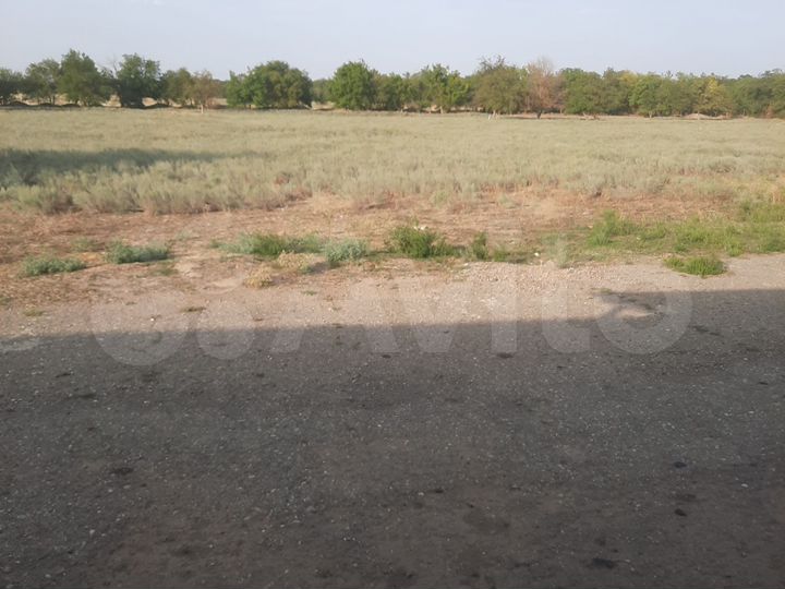 Участок 20 сот. (ИЖС)