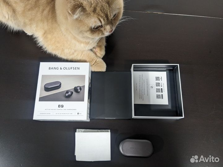 Bang olufsen beoplay EQ