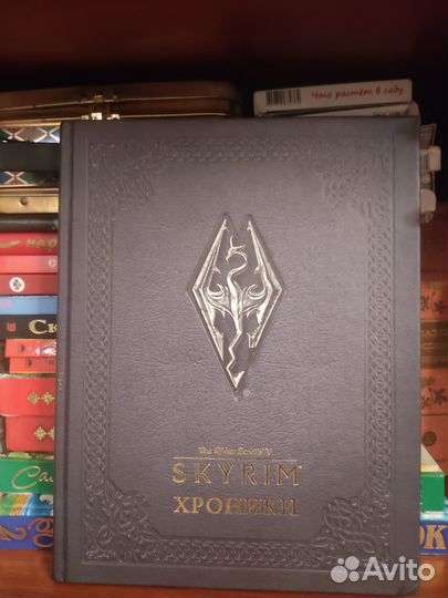 Skyrim хроники