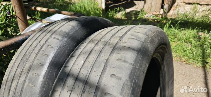 Continental ContiEcoContact 5 205/55 R16