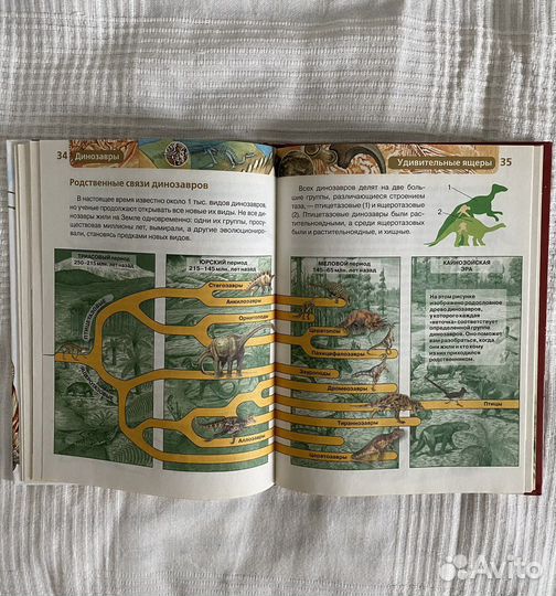 Книги «динозавры» и «словарь юного натуралиста»