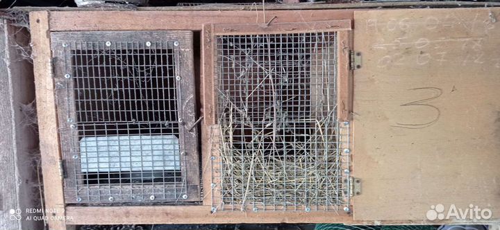 Клетка для кролика