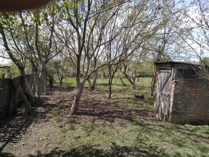 Дом 56 м² на участке 25 сот.