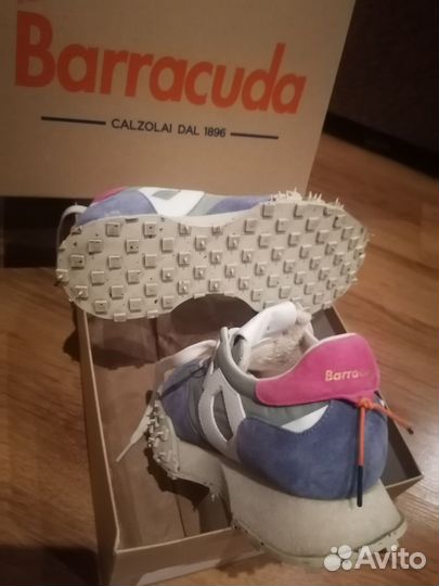 Barracuda 37