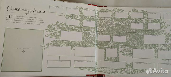 Пара семейный альбомов, генеалогия, фото