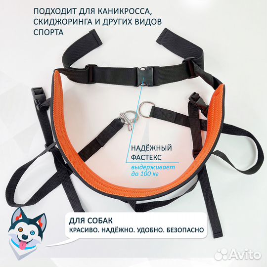 Пояс для каникросса и прогулок с собакой