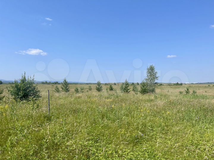 Участок 15,5 сот. (ИЖС)