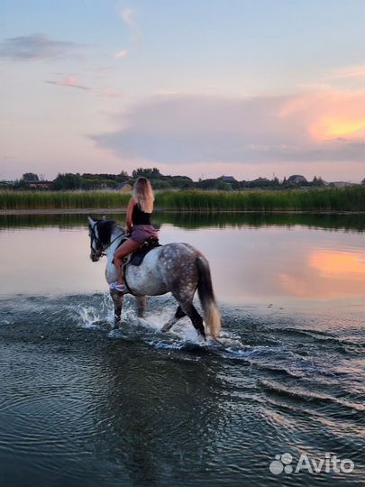 Конные прогулки