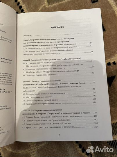 Пастырство священномученика Серафима (Остроумова)
