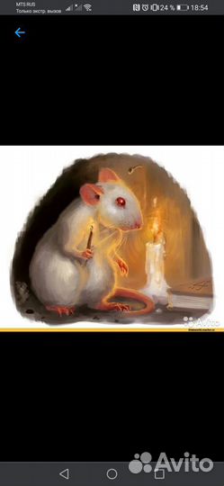 Приют для пострадавших и ненужных крыс