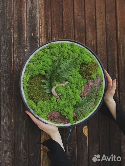Панно из мха диаметр 40 см