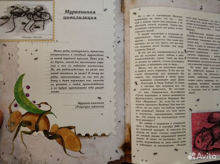 Познавательные книги для детей