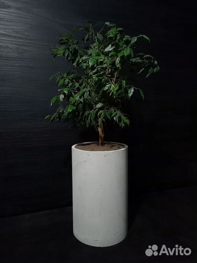 Вазон для цветов на 57 литров, авито доставка 41