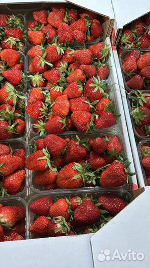 Овощи и фрукты оптом