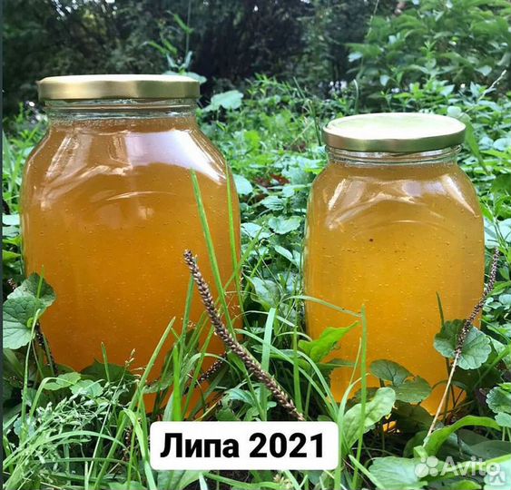 Мед липовый Башкирский