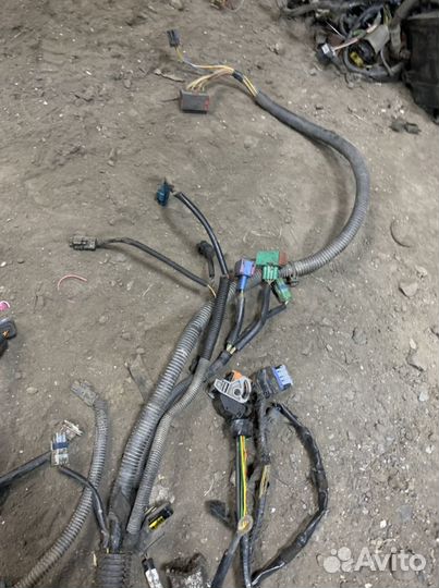 Коса эбу Peugeot 206