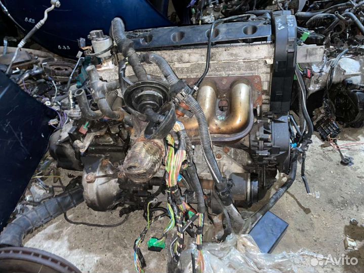 Двигатель Peugeot 406 (1995 - 2004) 2.0 EW10