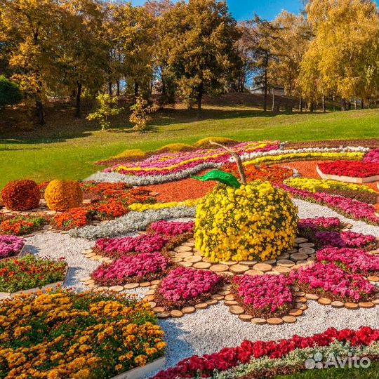 Щепа декоративная цветная мешки 60 литров