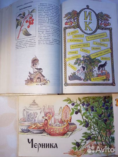 Книги Фруктовая Кулинария. Напитки