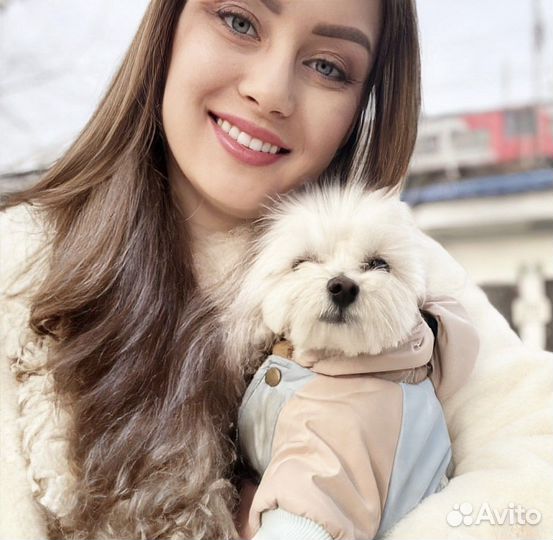 Передержка, догситтер, зооняня, рн. мамайка