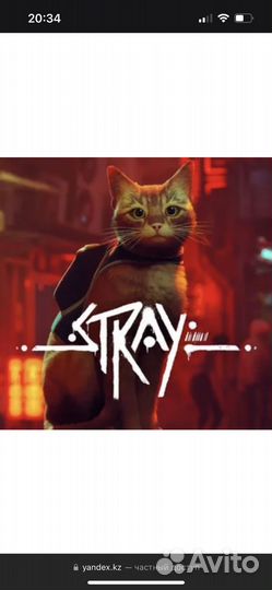 Stray игра на ps4 диск