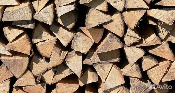 Дрова дубовые