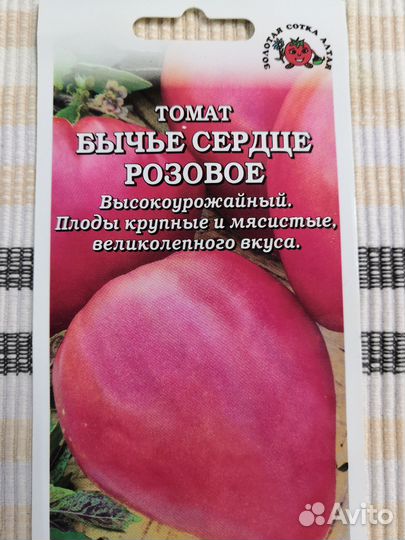 Рассада помидор