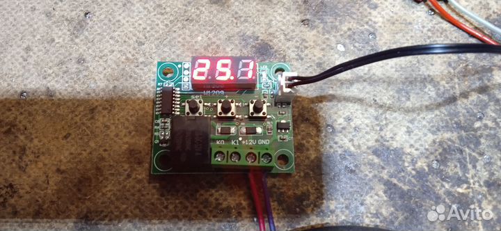 Инкубатор. Петушок.Терморегулятор цифровой