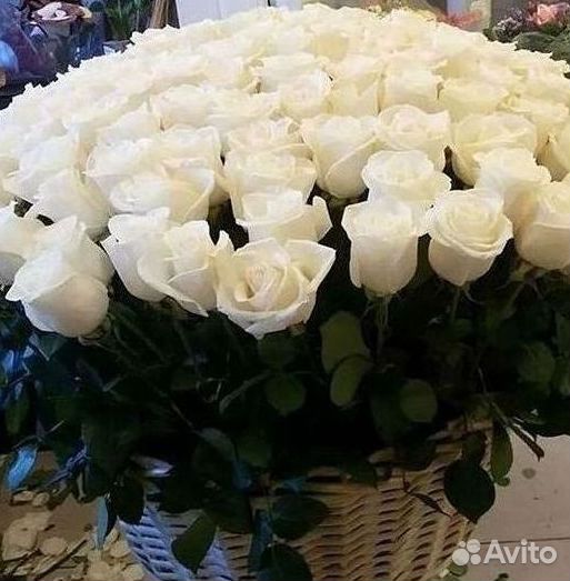 Розы Высокие 150см 160см 170см 180см 190см 2м