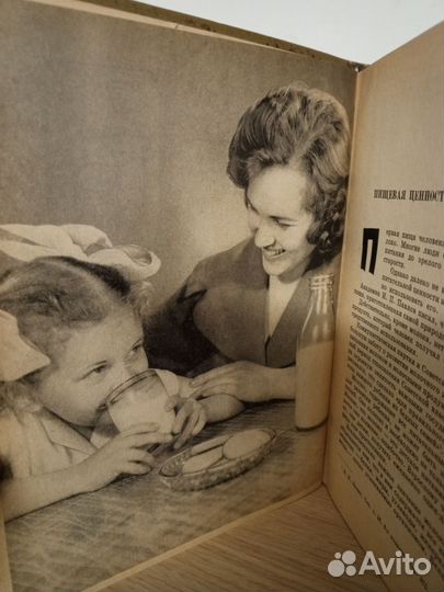 Молочная пища