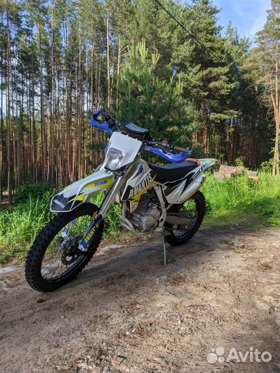 Avantis fx250 lux 2021
