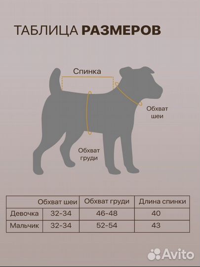 Дождевик для собак