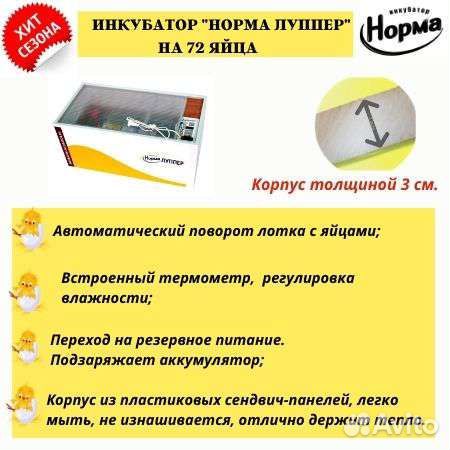 Инкубатор норма Луппер на 72 курин