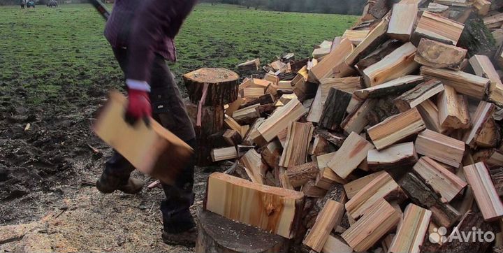 Дрова Береза