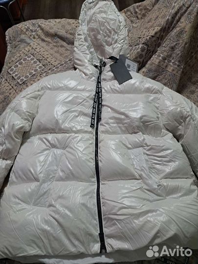 Оригинал Jog DOg