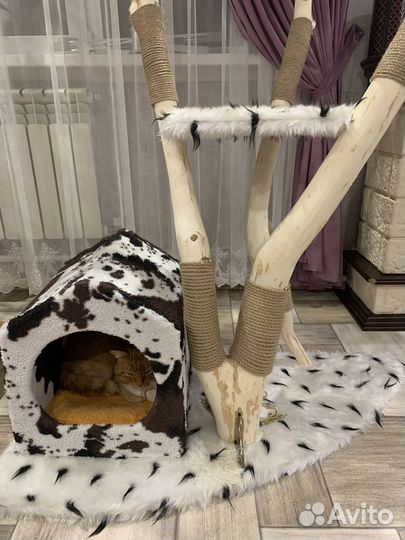 Домик для кошечки