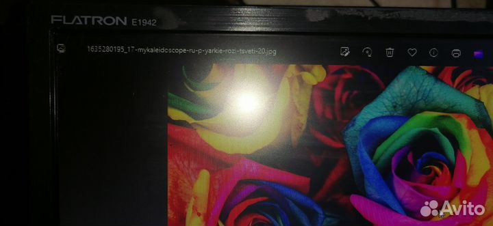 Монитор LG flatron e1942