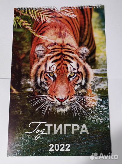 Настенный календарь тигры 2022-2023
