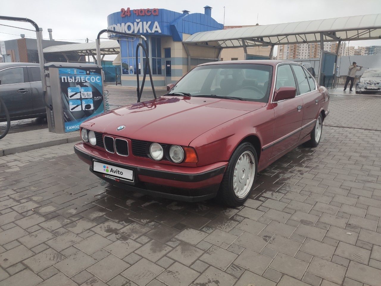BMW 5 серия: фото владельца