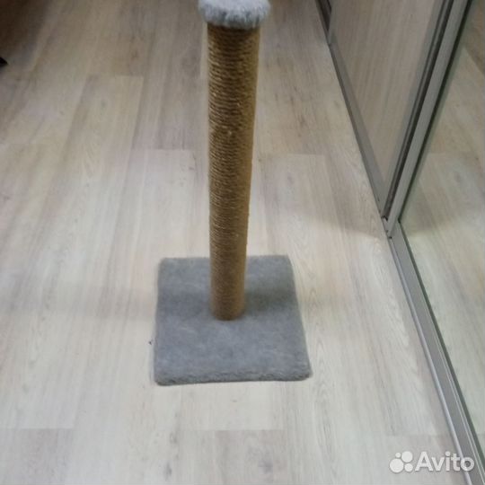 Когтеточка