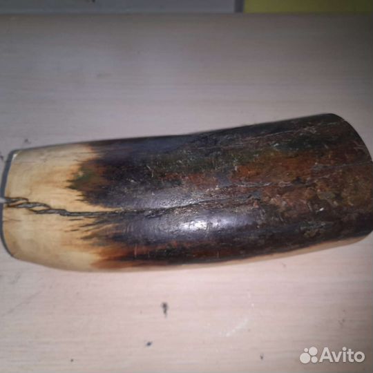 Бивень мамонта