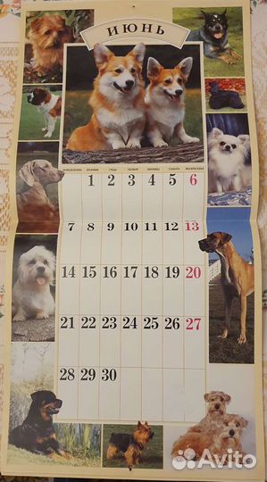 Календарь 1999 Собаки