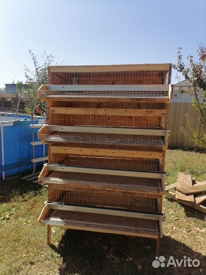 Клетка для перепелов