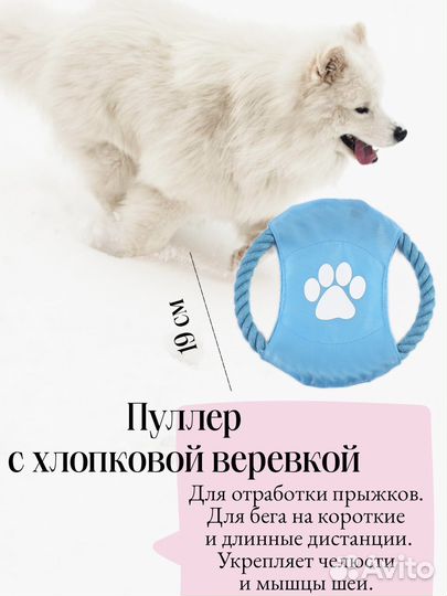Подарок для собаки. набор игрушек для собак